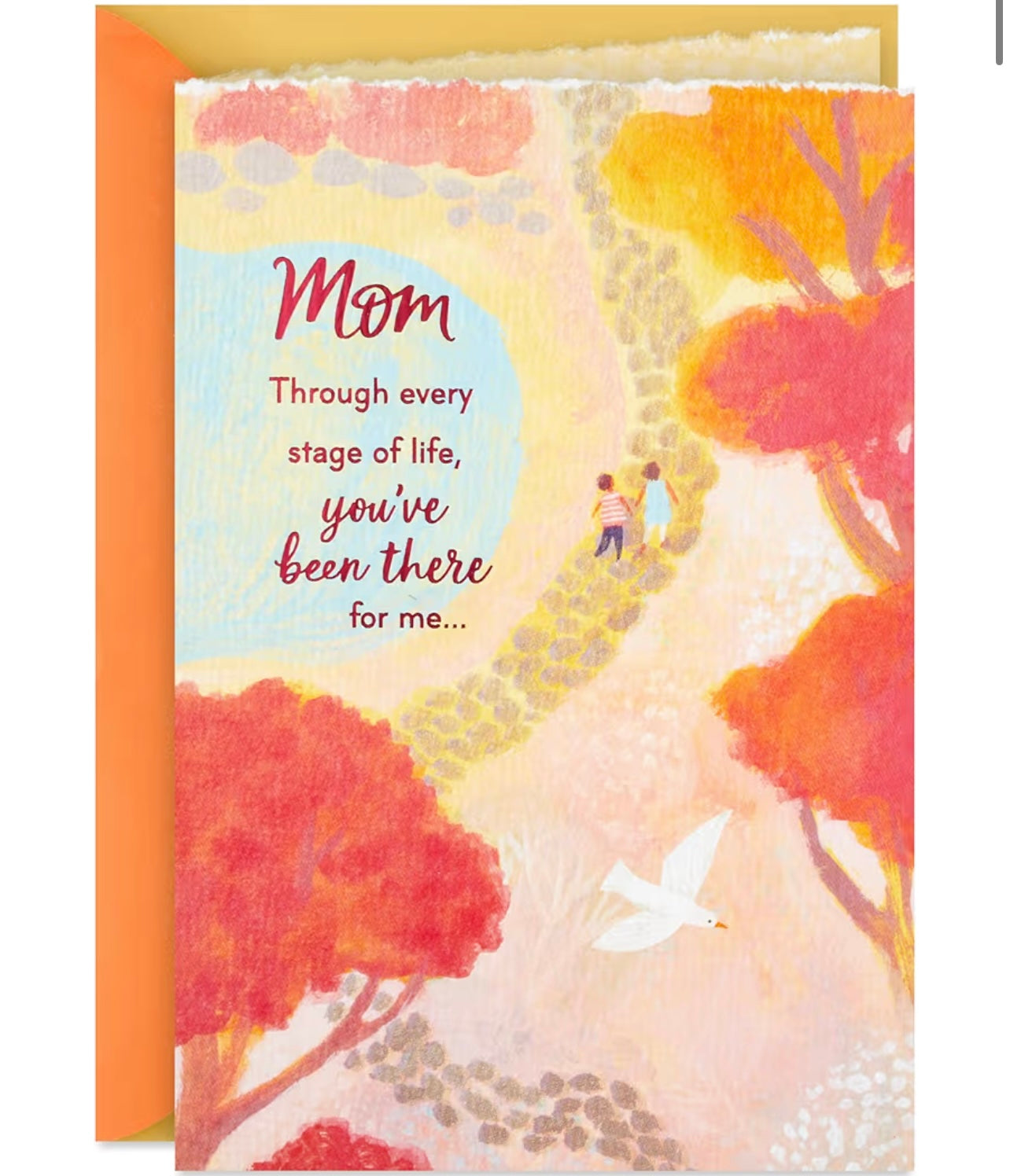 Cards for Every Occasion